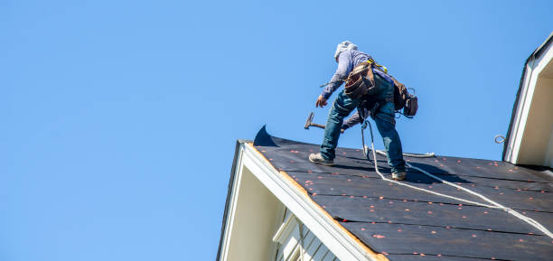 Best Flat Roof Repair Services  in Avalon, NJ